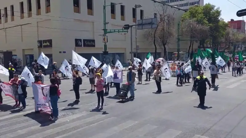 Juventud Comunista - FJC ☭