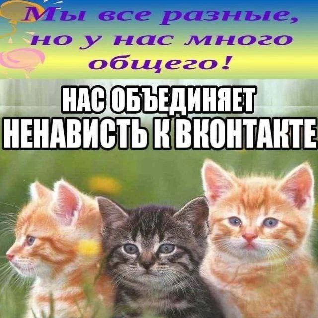 дно тырнетов