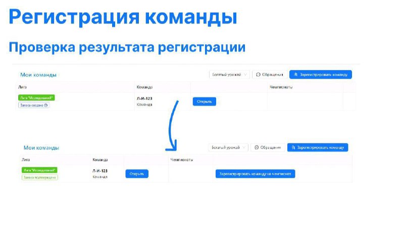 Международный чемпионат по робототехнике