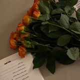 اشتراك ونشر