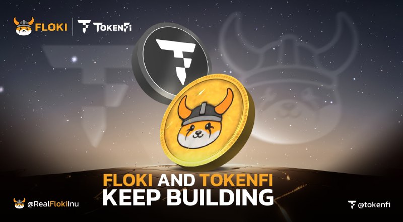 FLOKI AND TOKENFI Raid Material