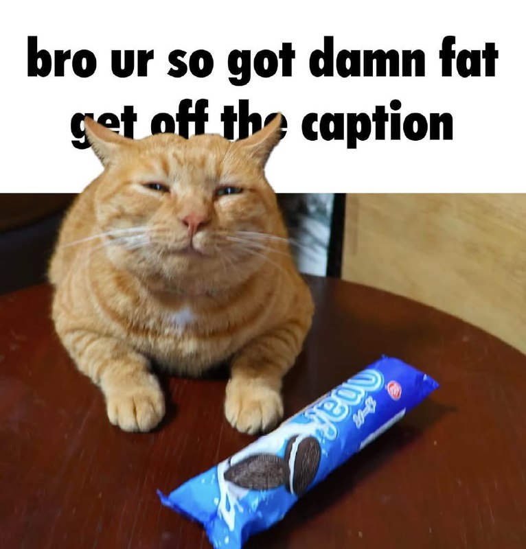 Literally Me