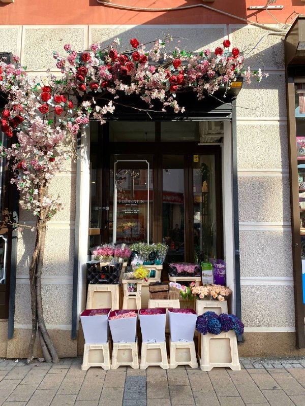 Florentin Flower Shop | Novi Sad …