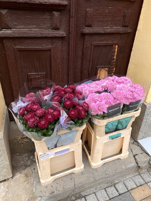 Florentin Flower Shop | Novi Sad …