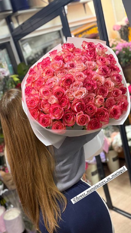 ***💐******💐******💐******💐******💐******💐******💐***