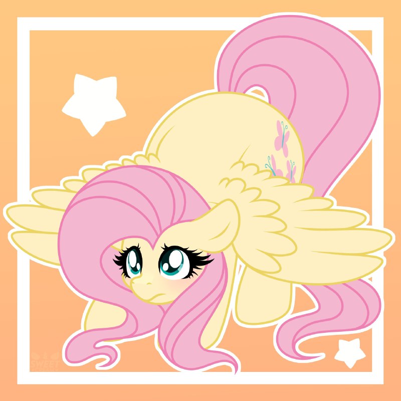 Fluttershy 💛