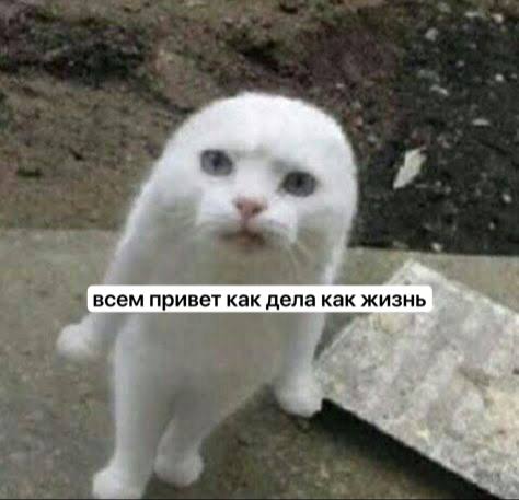 закрыто эволюция