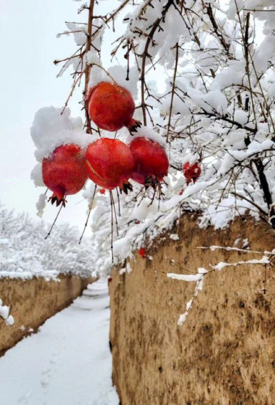 ***?*** صبوحی \_ ۳ \_ ۱۰