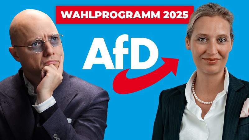 Das AfD Wahlprogramm - kritisch hinterfragt …