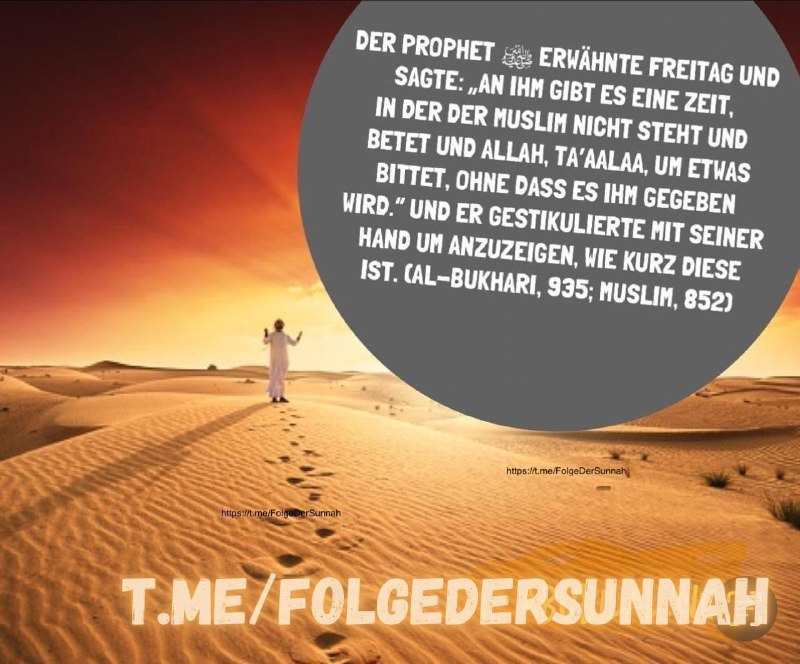 FolgeDerSunnah