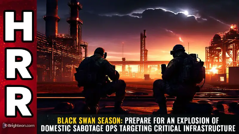 *****⬛️********🦢*** **BLACK SWAN SEASON: Prepare for an explosion of domestic sabotage ops targeting critical infrastructure**