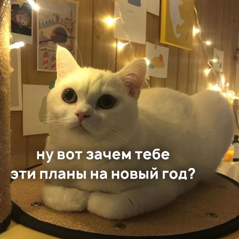 Планы на Новый Год выглядят именно …