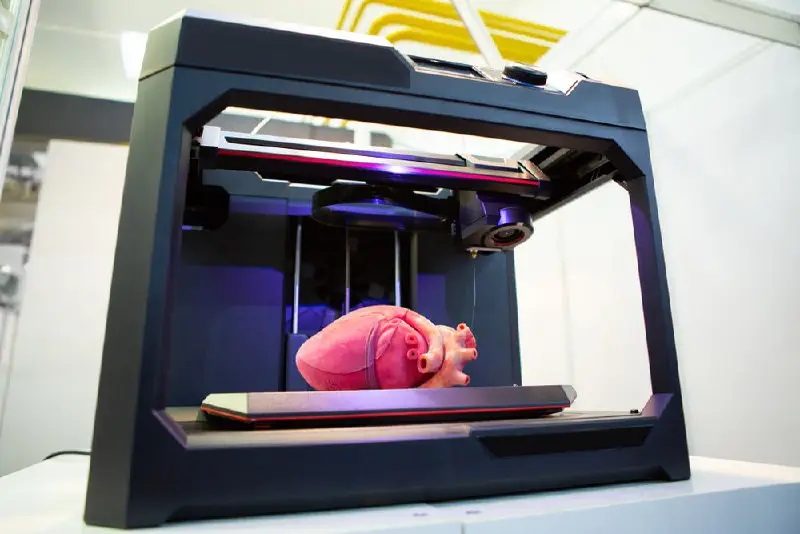 Применение 3D-печати в медицине позволяет моделировать …