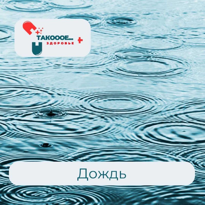 ***🌧******✨*** Как правильно себя вести под …