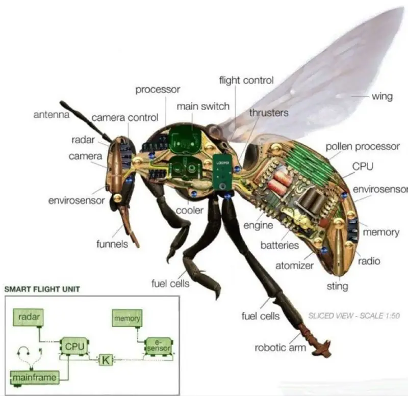 **Insect Size Spy Drones Unveiled**