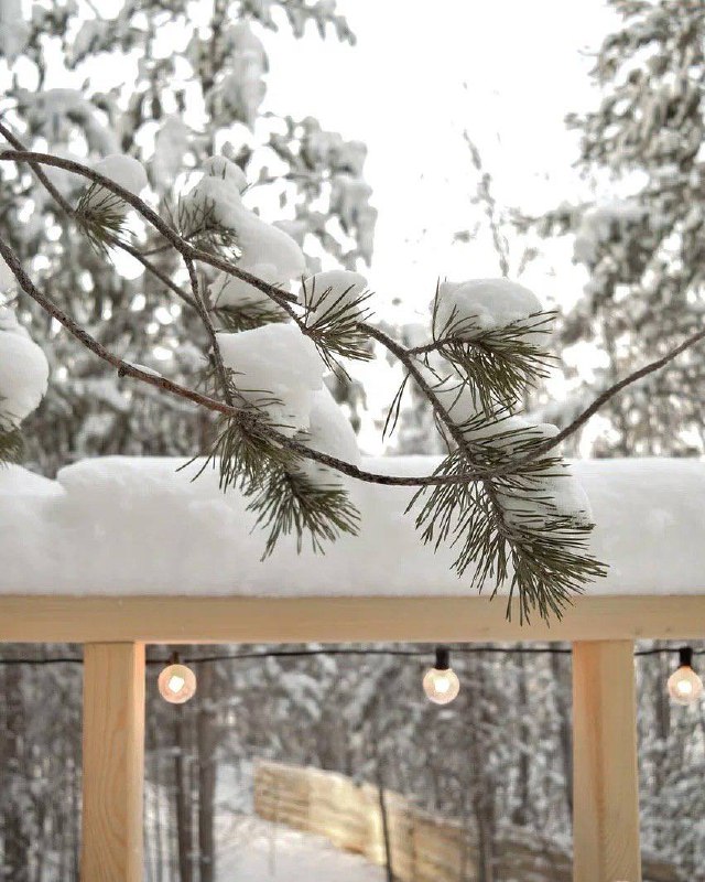 Forest.tale аренда домика A-frame