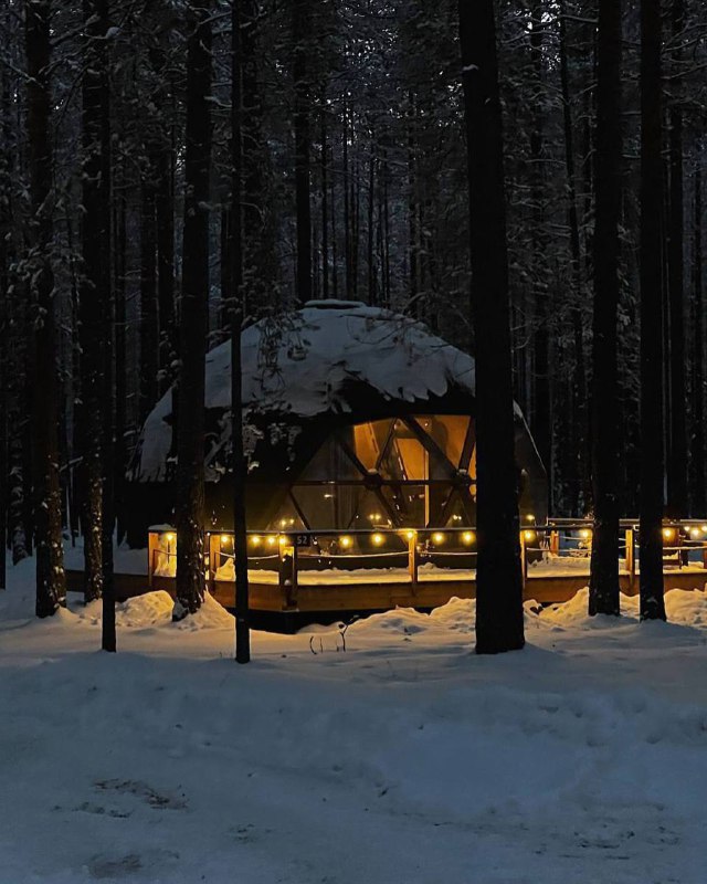 Глэмпинг «Forest Lake»