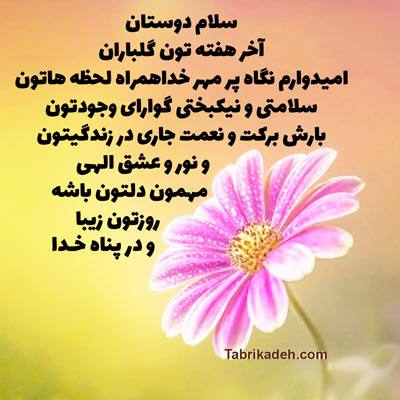 اخر هفته تون گلباران ***🌷******🌷******🌷******🌷******🌷***