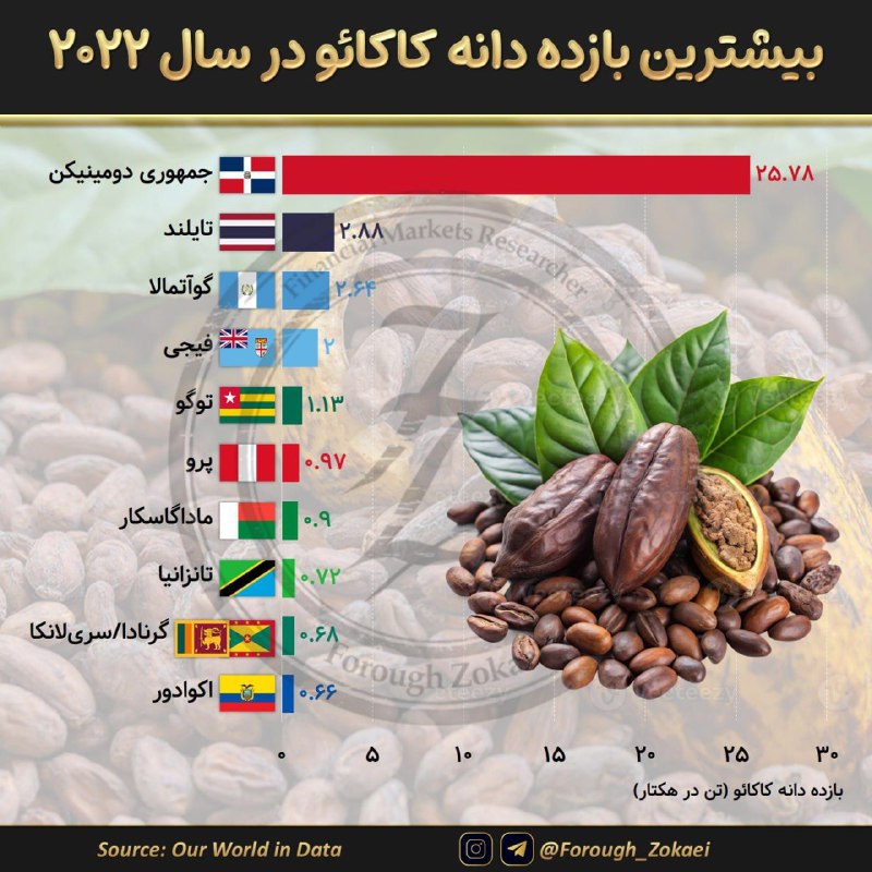 **بیشترین بازده دانه کاکائو در جهان**