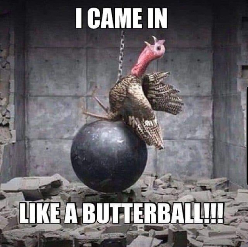 I CAME IN LIKE A BUTTERBALL …