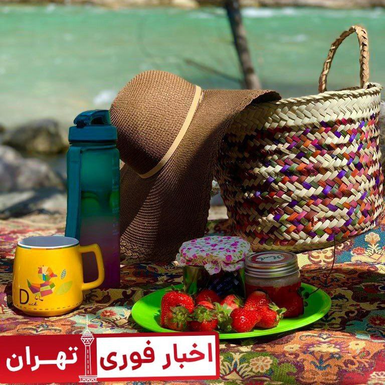 بی خیال تمام دلواپسی ها