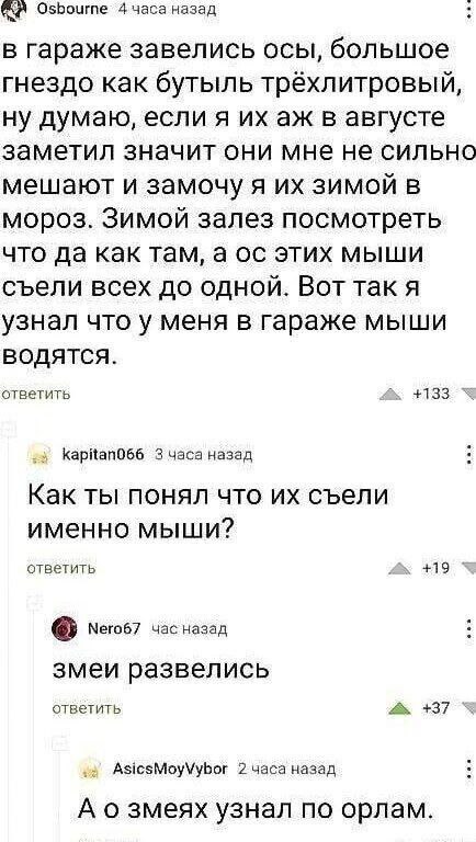 🦊ЛИСЬЯ🦊