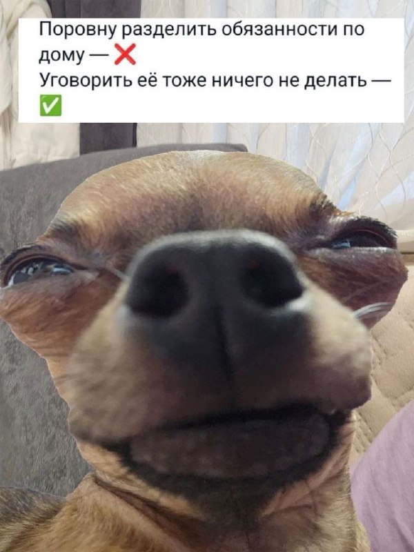 🦊ЛИСЬЯ🦊