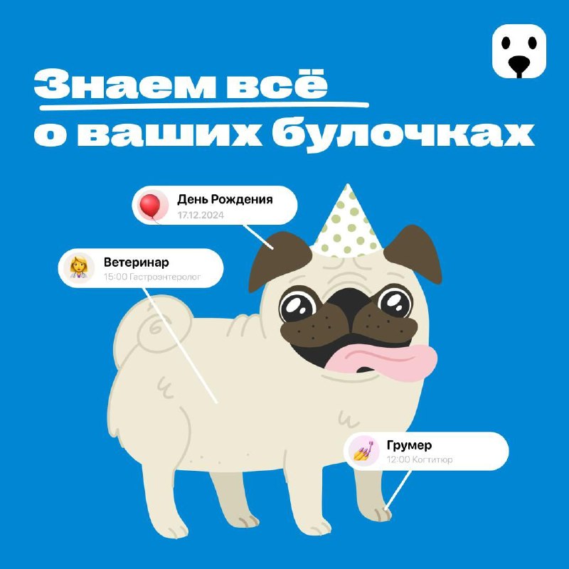 [Лапка](https://t.me/lapka_app) — ваш личный помощник по …