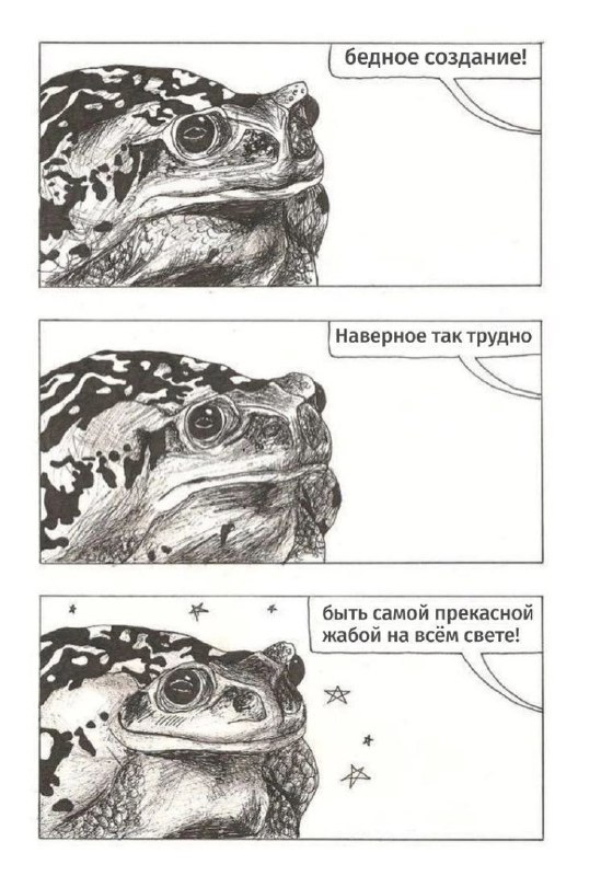 ето срида ***🐸***