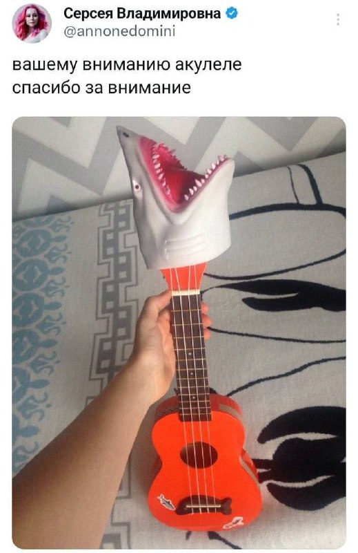 ***🦈******🦈******🦈***