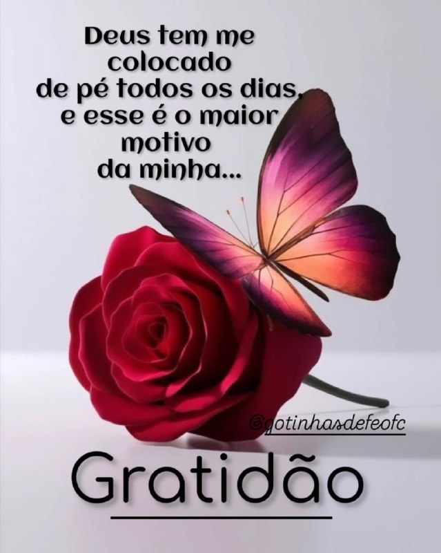 [Frases de Gratidão a Deus](https://t.me/FrasesdeGratidaoaDeus)