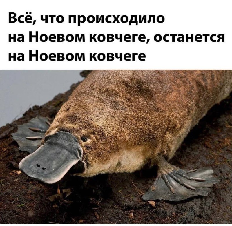 ***⬆️*** Что я вспоминаю, когда слышу …