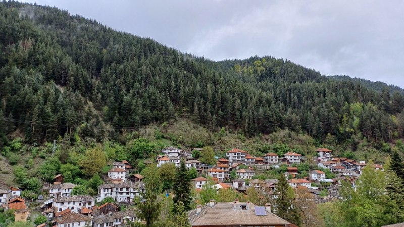 Français en Bulgarie 🇧🇬 Arthur Ivan