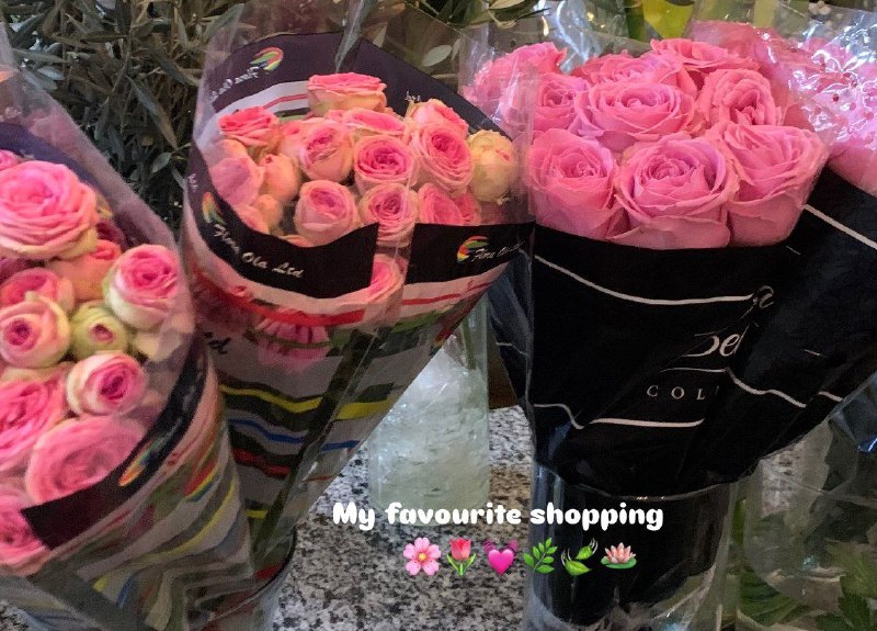 My favorite shopping ***🎀******💗******🦩******💕******🌷******🫶🏻***.