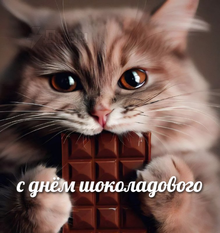 ***🍫*** День шоколадки отмечается сегодня