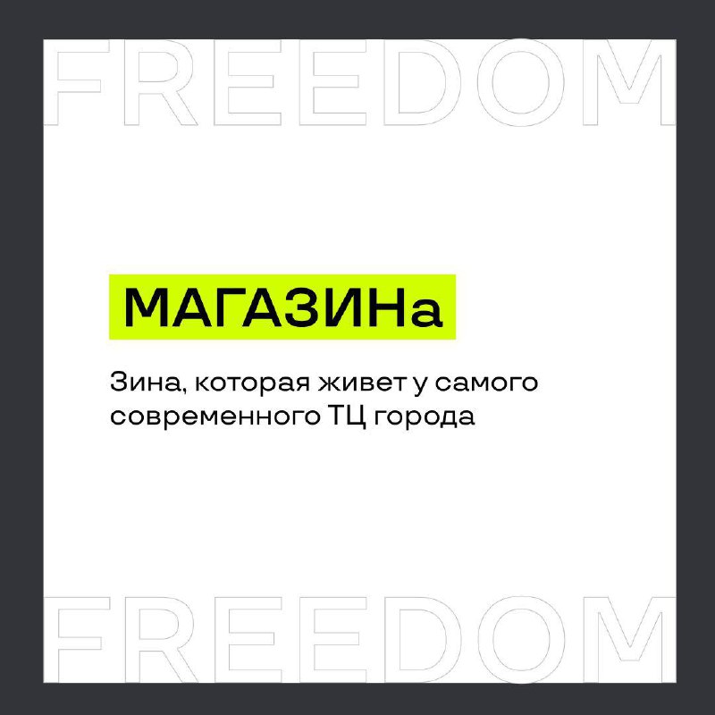 FREEDOM | Апартаменты | Новосибирск | …