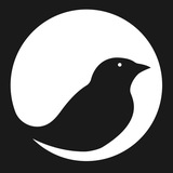 [**https://t.me/FinchAirdropBot?start=352147**](https://t.me/FinchAirdropBot?start=352147) **7 نفر دعوت کنین و …