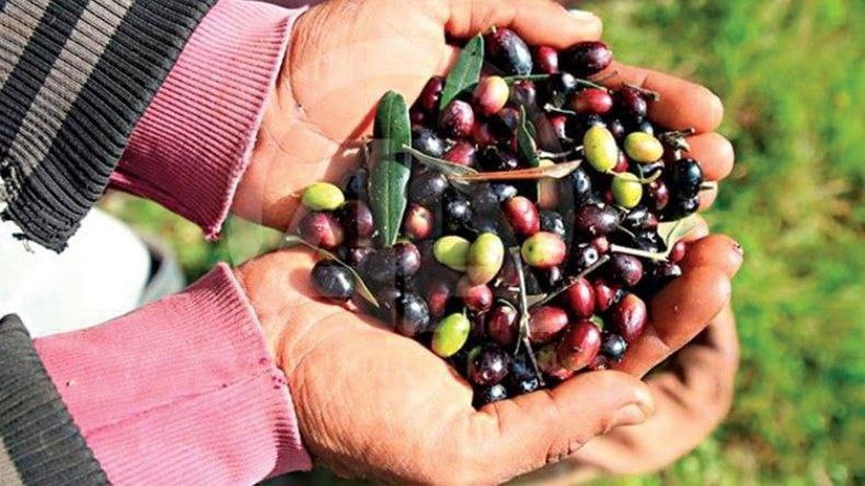 السلام عليكم وصبّحكم الله بالخير ،