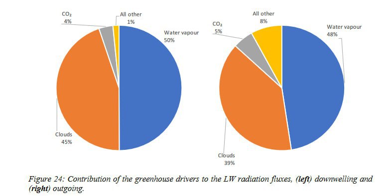 ***🗞*** **Klimagas CO2: Wedelt der Schwanz …