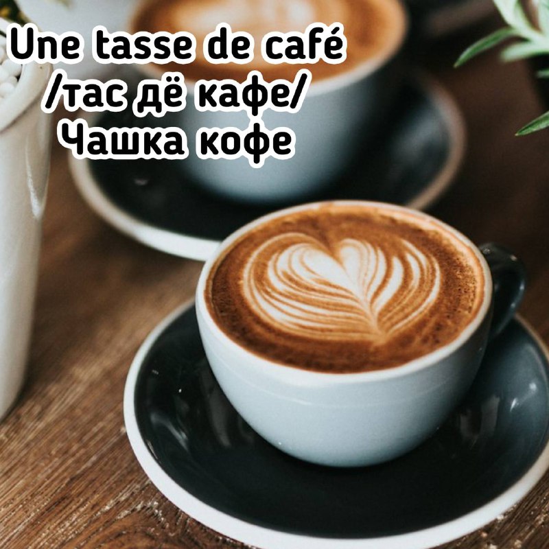 Une tasse de café par jour …