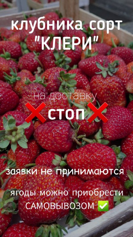 ЯгодГрад • ЭКОПРОДУКТЫ