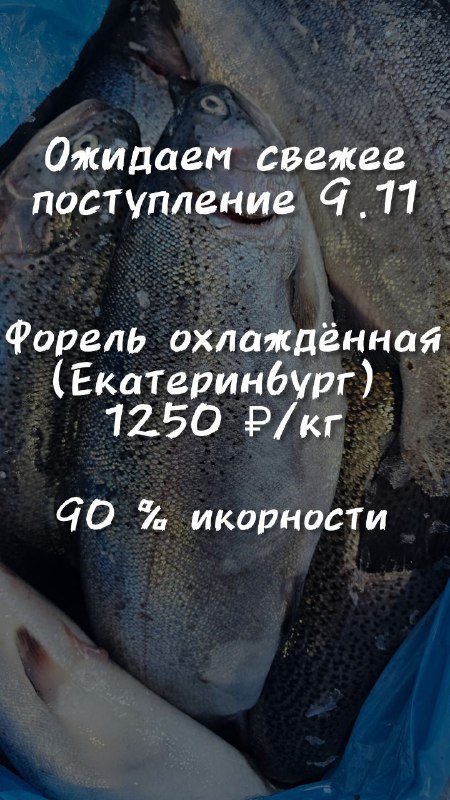 ОЖИДАЕТСЯ 9.11 ***🐟***