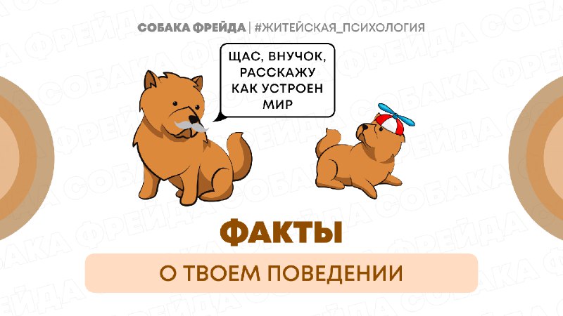 **Факты о твоем поведении: