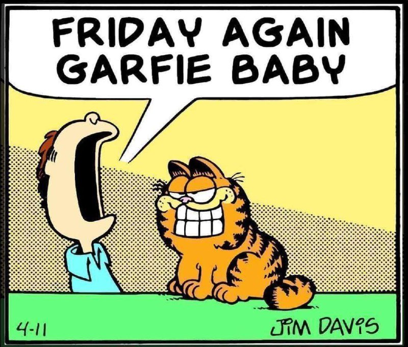 friday again garfie baby