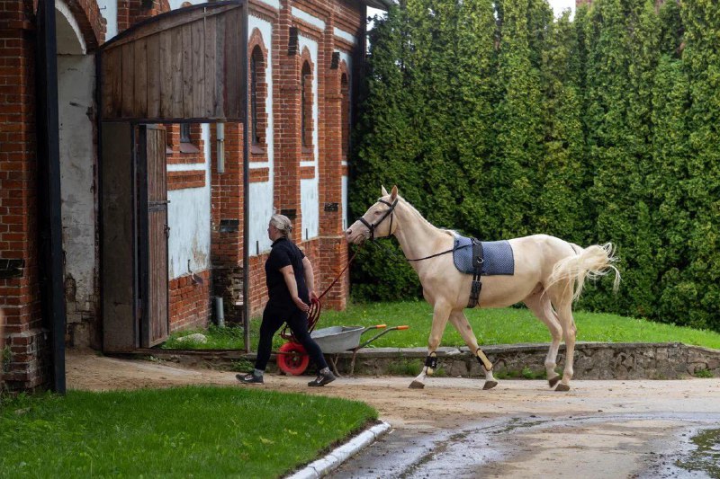 Friday Center | Авторские туры в …