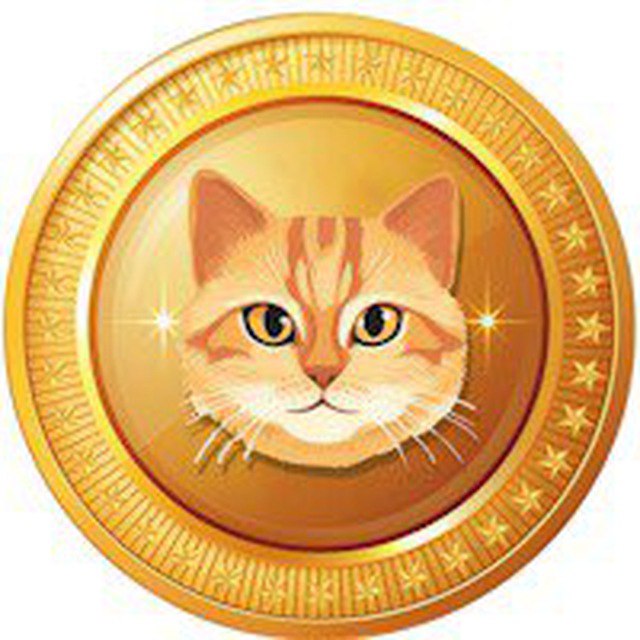 **CAT TOKEN** under 500k MCAP is …