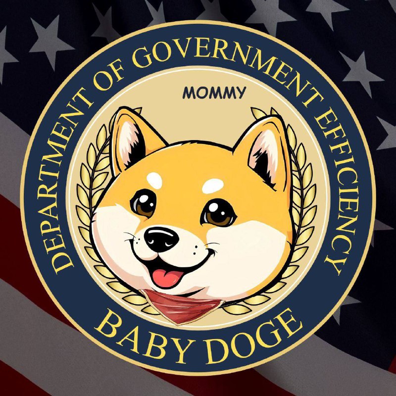 **BabyDOGE( Baby department of government efficiency …