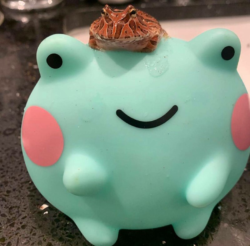 Frogs collection