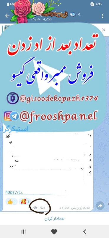 (فروش ممبرواقعی‌گیسو👥️)