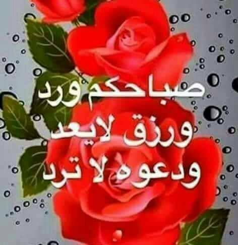 🌴مناظر خلابه🌴